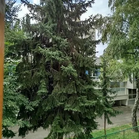 Oasis Apartman